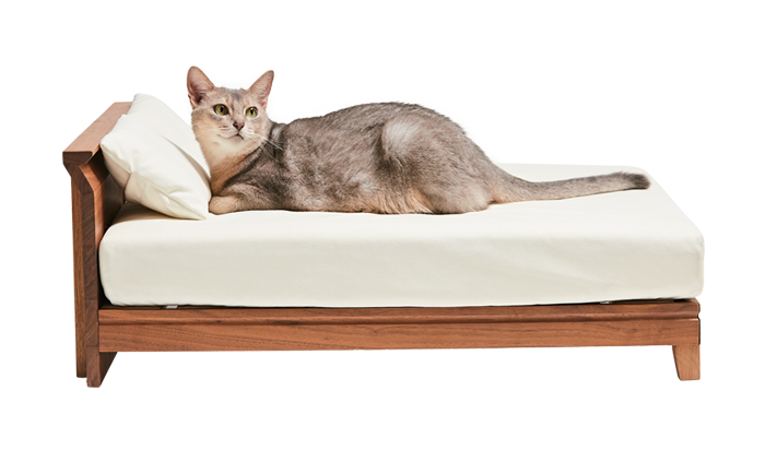 [Raffine Bed for cat]