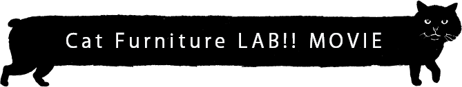 ネコ家具CM公開中